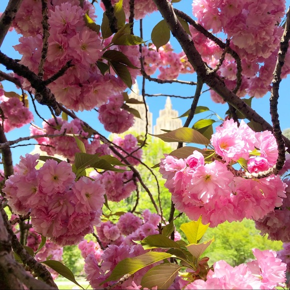 Meet your Posher :) - Picture 8 of 8